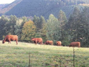 Отель Urlaub auf dem Bauernhof, Нетпхен